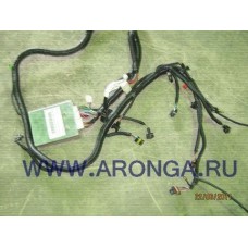 Жгут проводов двигателя 4G64  31-3724014-Z; (DADI), 3131-16; DGAB-8701023